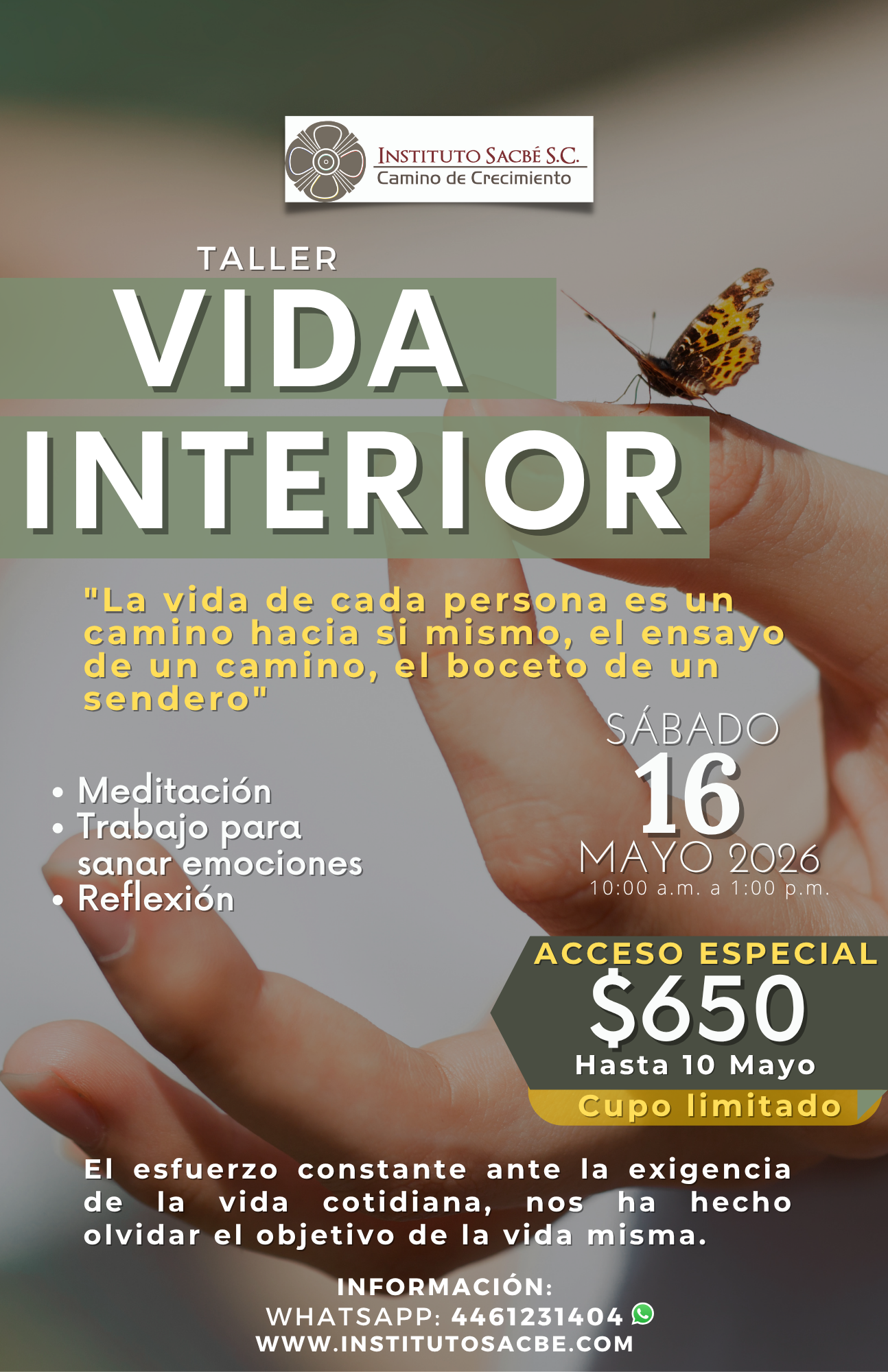curso